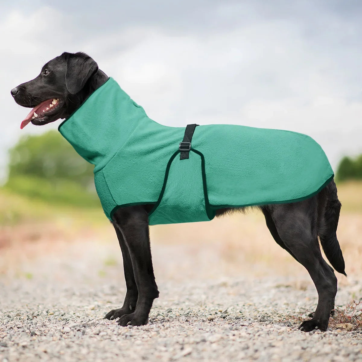 Winter Pet Dog Clothes Warm Big Dog Coat Puppy Clothing Pet Vest Jacket For Small Medium Large Dogs Golden Retriever