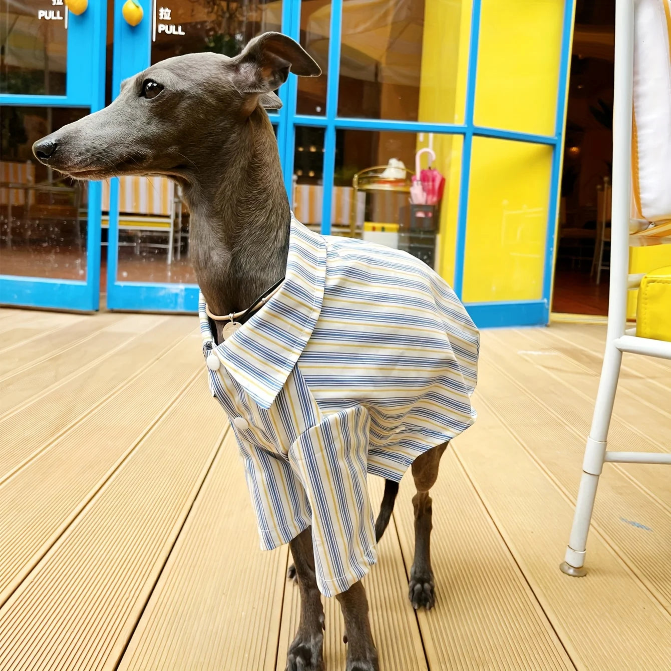 Pet Dog Clothes Striped Shirts for Greyhound Dogs Clothing Small Thin Summer Blue Fashion Boy Girl Large Dog Pet Products