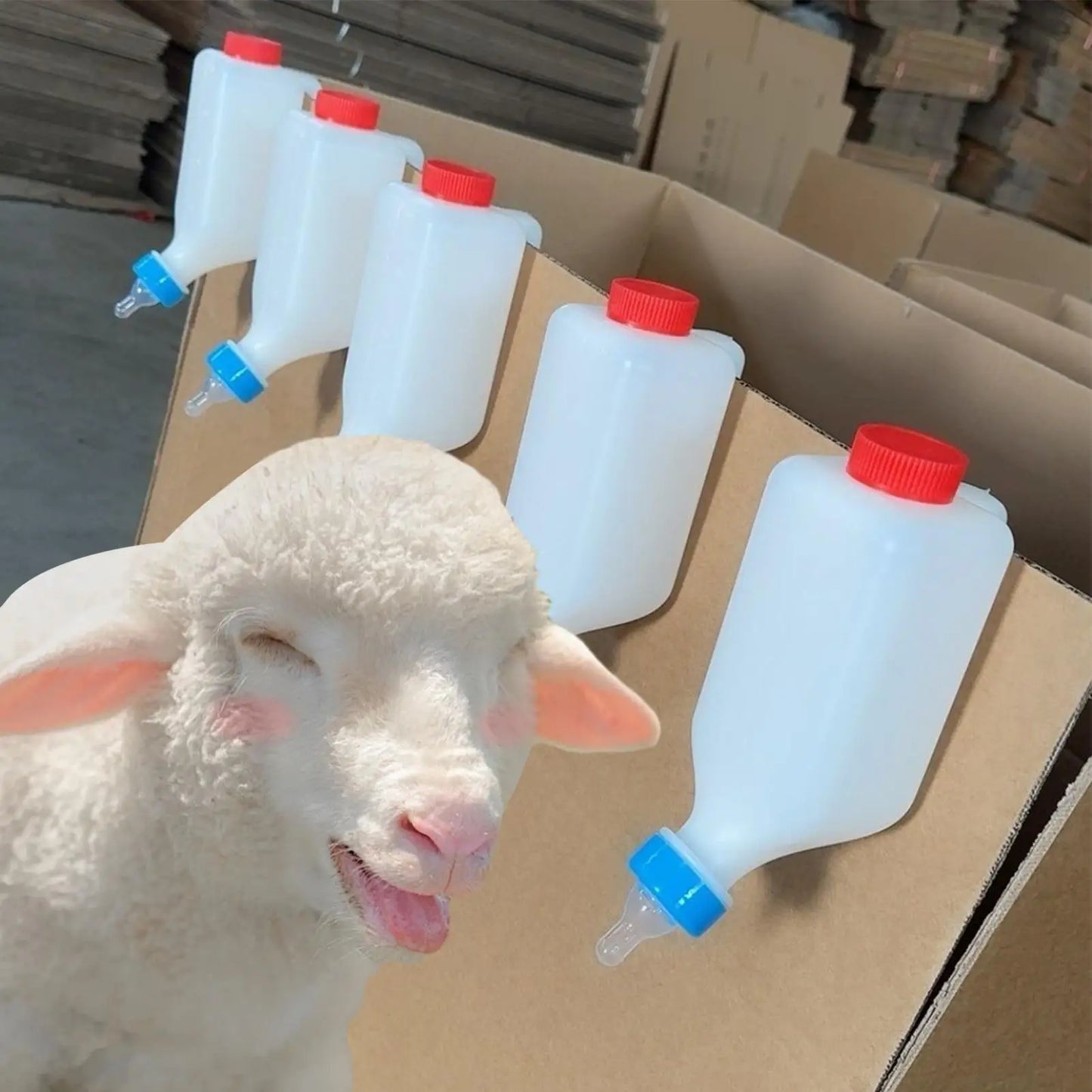 Goat Bottles For Feeding Baby Goats Lamb Bottle Feeding Bottle Lamb Feeder Bottle Milk Feeder Hangable Goat Bottle Lamb Nursing