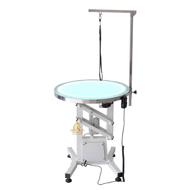 Pet Electric Lift Grooming Table With Led Light Professional Grooming Care Multifunctional Pet Grooming Table