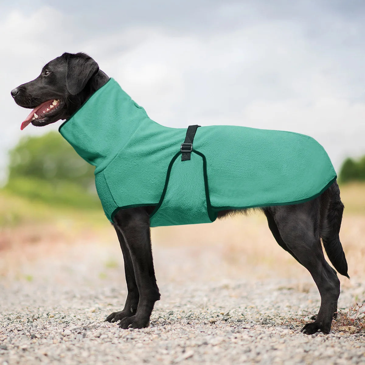 Winter Pet Dog Clothes Warm Big Dog Coat Puppy Clothing Pet Vest Jacket For Small Medium Large Dogs Golden Retriever