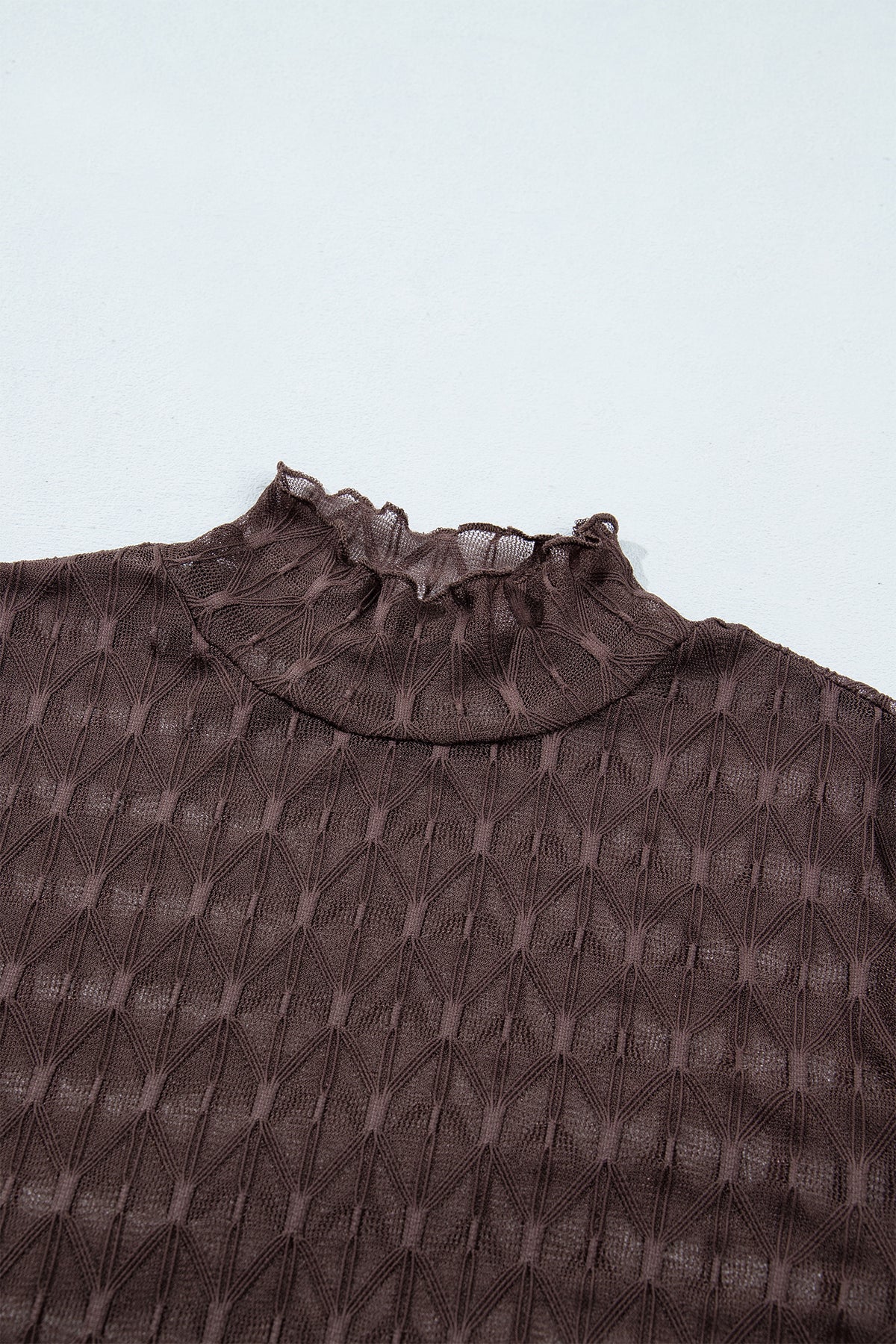 Chicory Coffee Sheer Textured Lace Stand Neck Long Sleeve Top