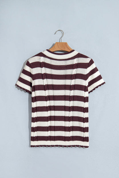 Brown Stripe Ribbed Knit Cable Detail Short Sleeve Sweater