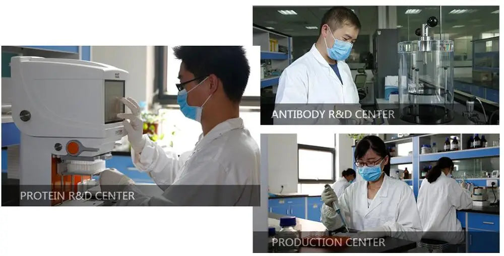 2022 Bovine Viral Diarrhea Virus (BVDV) ELISA Kit