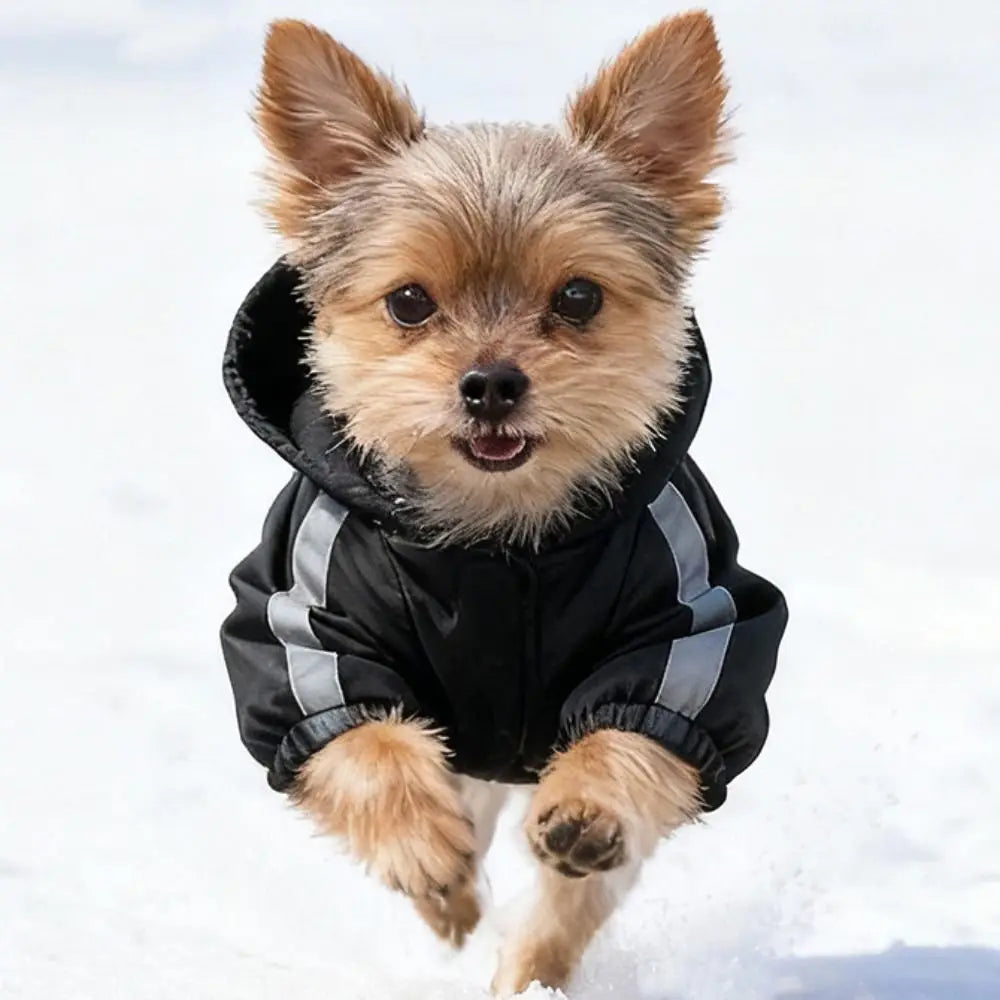 Pet Costume Windproof Fleece Dog Clothes Waterproof Comfortable Winter Pet Apparel Warm Reflective Dog Hooded Coat for Dogs