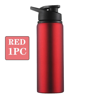 Metal Portable Water Bottle Leakproof Reusable Outdoor Sports Cup for Cycling Hiking Gym Halloween Gift Christmas Gift Travel