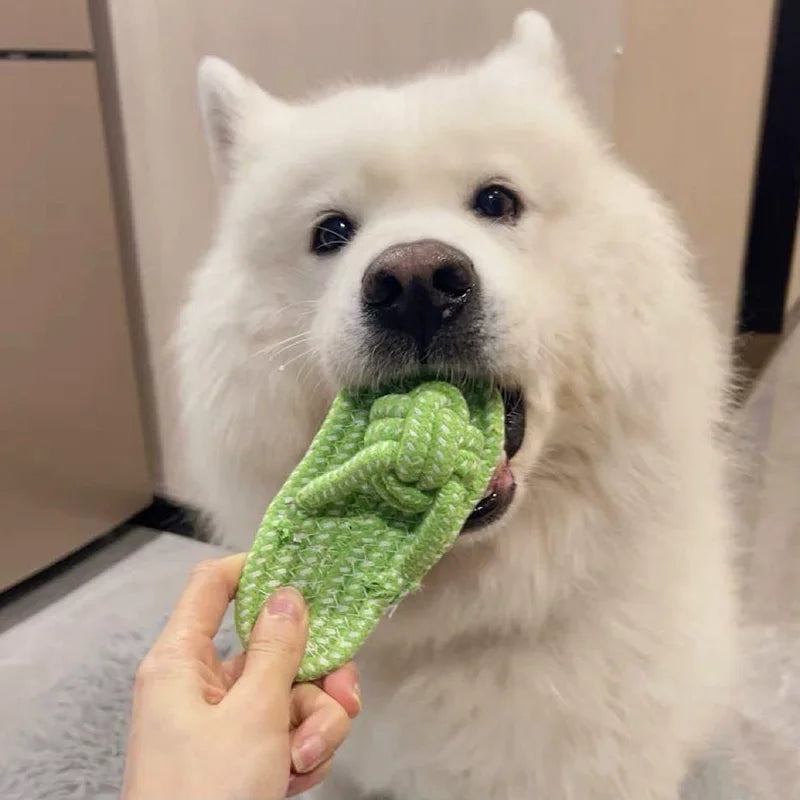 Pet Cotton Rope Slipper Knot Toy For Small Dogs Interactive Chew Toy Dental Clean Teeth Grind Tartar Control Non Toxic Dog Toys