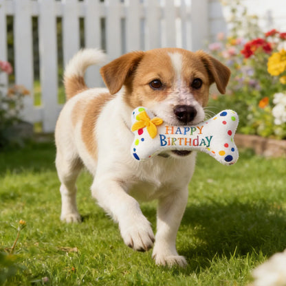 Pet Birthday Theme Stuffed Wear-resistant Chewing Toys Fancy Pet Gifts for Puppy Dog Pet Birthday Party Scene Layout Props