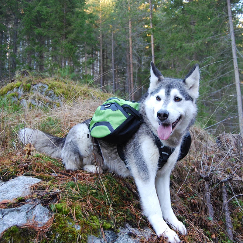 Winhyepet Dog Harness with Backpack Pet Supplies Reflective Dog Harness for Great and Small Travel Sport Outwork Dog Accessories