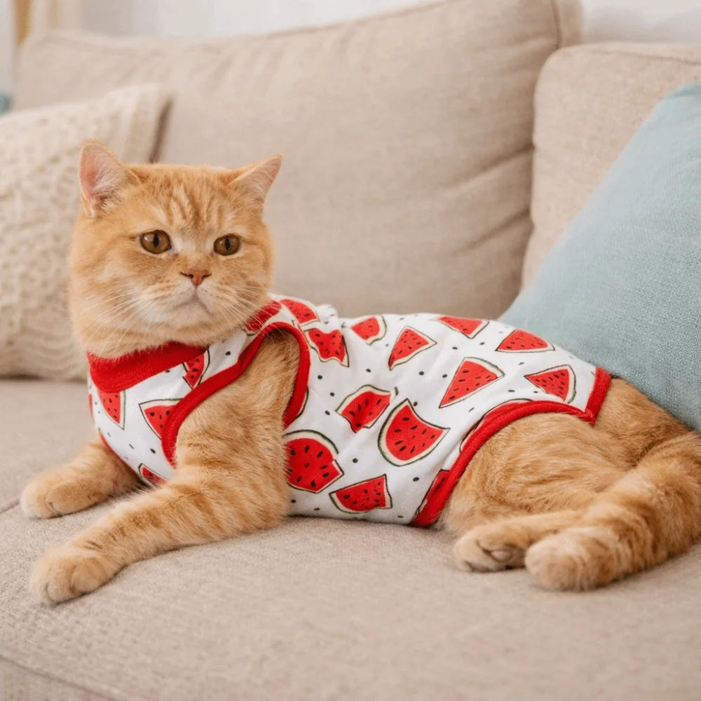 Fruit Printed Cat Recovery Clothing High Elasticity Breathable Pet Anti-Licking Vest Soft Comfortable Pet Weaning Suit Pet Care
