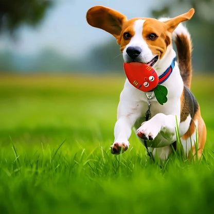 5PCS set of puppy sound toys, loose plush pet chewing, plush fruit snacks and vegetable puppy toys, suitable for cute playm