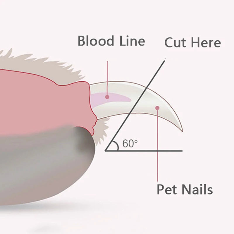 Professional Pet Nail Clippers with LED Light - Pet Claw Grooming Trimmer for Dogs Cats Small Animals Paw Nail Care Pet Supply