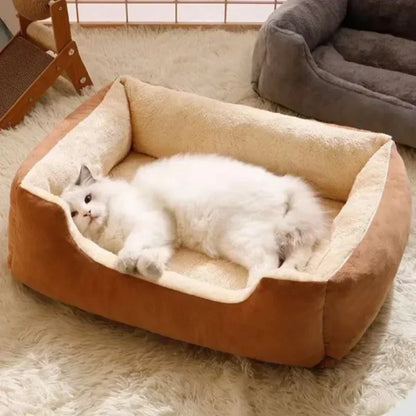 New Bed for Cats Pet Products Cushions Kitten Goods Accessories Dog All Home Supplies Things Accessory Habitats Basket House Bed