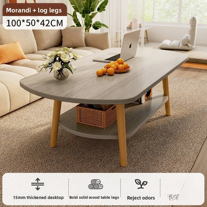 Coffee table living room small apartment multi-functional small tea table Nordic simple homestay double-layer small table