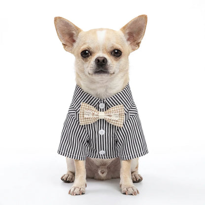 Pet Dog Clothes Bowknot Striped Shirts Thin Summer Blue Fashion Chihuahua Stripe Shirt for Small Dogs Clothing Wholesale