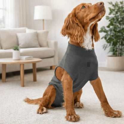 Adjustable Pet Physiological Clothing Soft Stretchy Dog Recovery Suit Sweat Absorption Reusable Dog Sanitary Jumpsuits