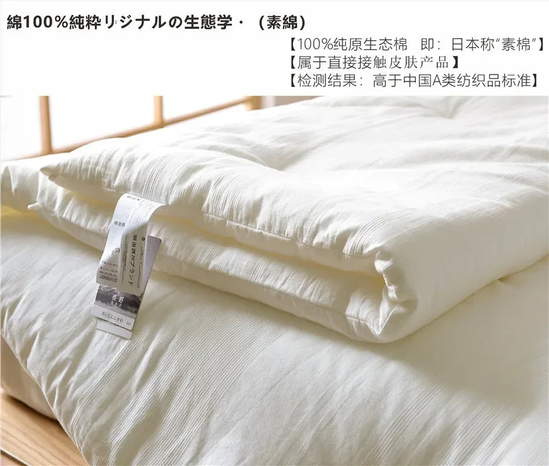 Japan Meiji Nishikawa Comforter Duvet Insert - Quilted White Comforters Queen Size All Season Down Bedding Comforter with Corner
