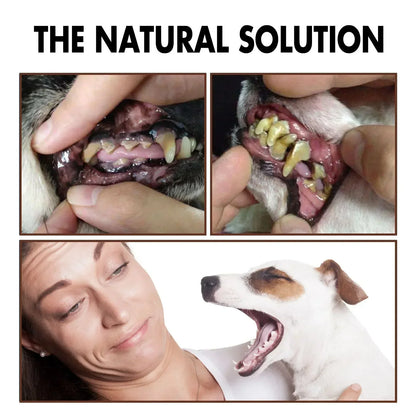 30ml Pet Tooth Cleaning Spray Dogs Remove Bad Breath Freshener Cats Oral Cleaning Dental Care Deodorization Spray Pet Supplies