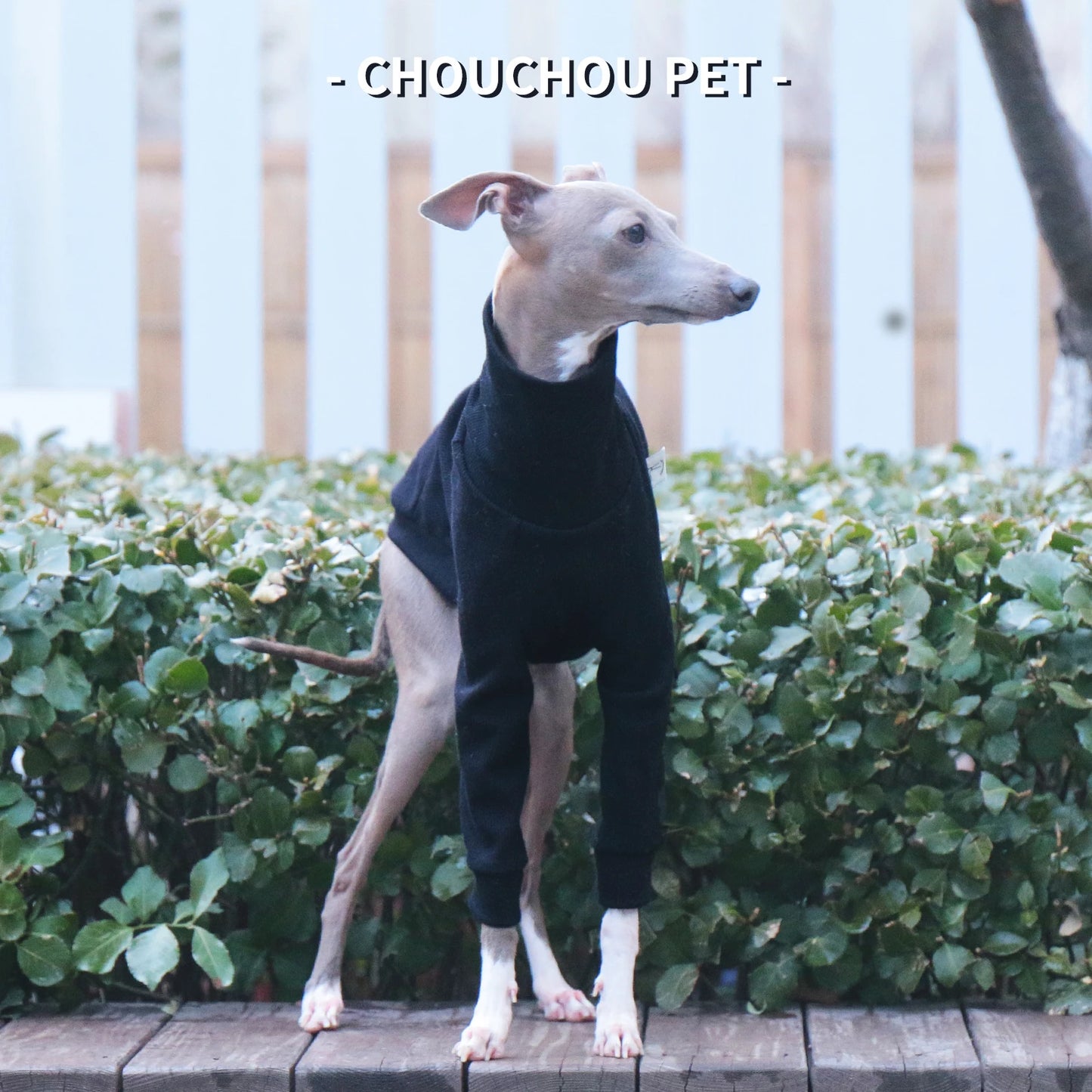 Italian Greyhound/Whippet Slim Fit Dog Clothing Turtleneck Stretch Pet Bottoming Shirt Black Premium Pet Clothing