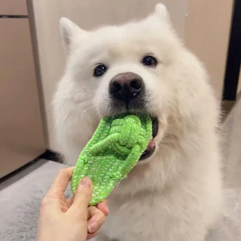 Funny Pet Dog Toys Slippers Cotton Rope Shoes Interactive Chewing Puppy Dog Teeth Cleaning Outdoor Training Cat Relieve Anxiety
