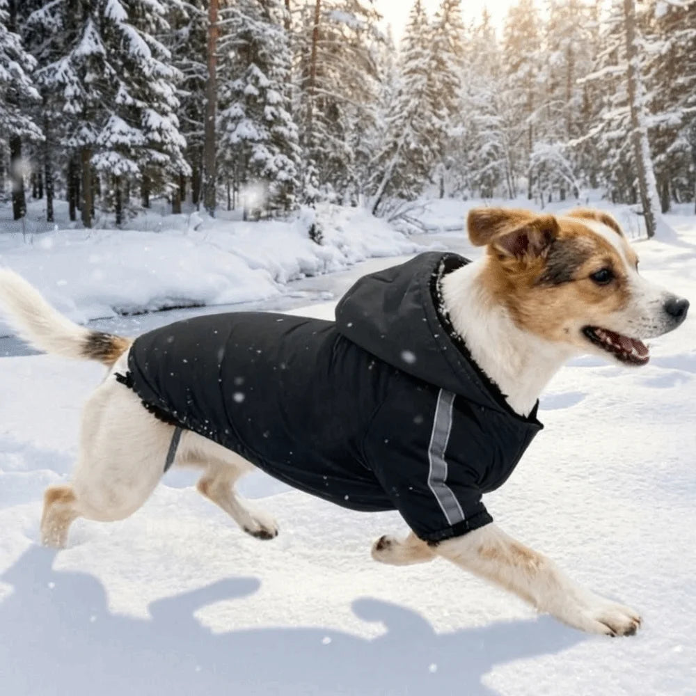 Pet Costume Windproof Fleece Dog Clothes Warm Waterproof Dog Hooded Coat Comfortable Thicken Pet Sweatshirt Outdoor