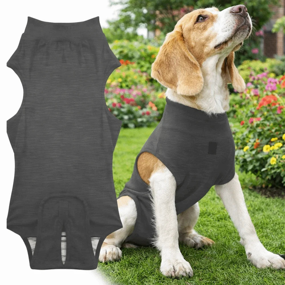 Adjustable Pet Physiological Clothing Stretchy Soft Dog Recovery Suit Reusable Sweat Absorption Dog Sanitary Jumpsuits