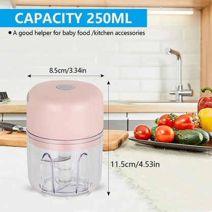 100ML/250ML Electric Garlic Chopper, Portable Food Processor, Rechargeable Vegetable Chopper Blender for Nuts Chili Onion