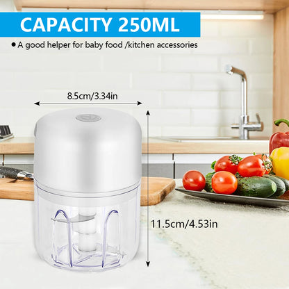 100ML/250ML Electric Garlic Chopper, Portable Food Processor, Rechargeable Vegetable Chopper Blender for Nuts Chili Onion