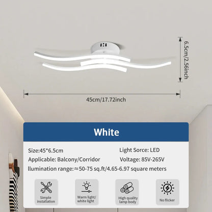 LED Ceiling Light, Dimming Light, Living Room, Bedroom, Dining Room, Corridor, Indoor Home Decoration Lighting