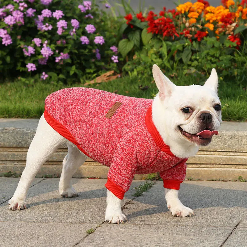 Cute Dog Clothes for Small Dogs Soft Pet Dog Sweater Clothing for Dog Winter Chihuahua Clothes Classic Pet Outfit Accessories