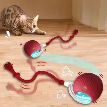 Hot cat toys are automatically teasing cat balls and self-exciting cat sticks and ticks and resistant to wear and bite pet toys
