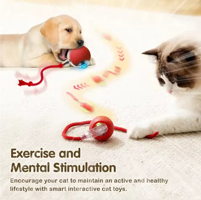 Hot cat toys are automatically teasing cat balls and self-exciting cat sticks and ticks and resistant to wear and bite pet toys