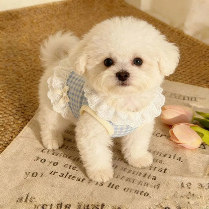 Summer Pet Lace Skirt Lightweight Cat And Dog Bow Lace Vest Thin Plingham Cute Princess Clothing Cat Dog Clothes Pet Supplie
