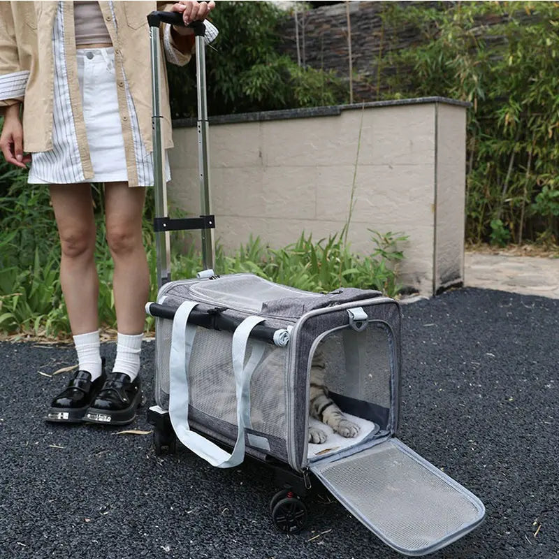 Outdoor Pets Strollers on Wheels Small Dog Cat Luxury Strollers Travel Cheap Cute Foldable Pets Trolley Carrier Breathable