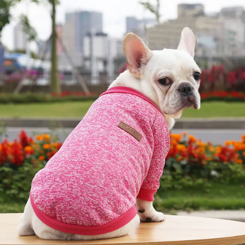 Cute Dog Clothes for Small Dogs Soft Pet Dog Sweater Clothing for Dog Winter Chihuahua Clothes Classic Pet Outfit Accessories