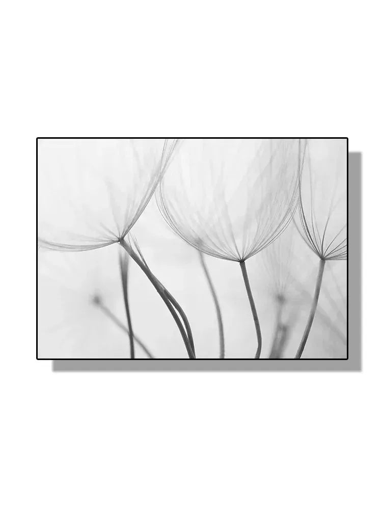 Modern Black and White Plant Dandelion Wall Art Minimalist Print Canvas Painting Posters for Living Room Modern Home Decor