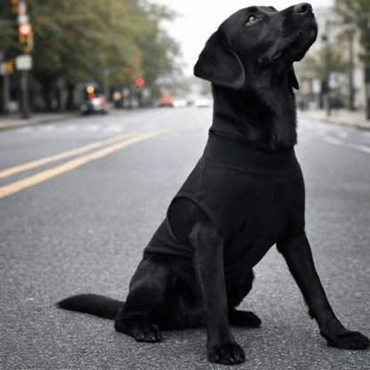 Adjustable Pet Physiological Clothing Stretchy Soft Dog Recovery Suit Reusable Sweat Absorption Dog Sanitary Jumpsuits