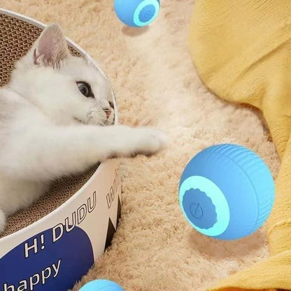 Pet Cat Toys Intelligent Rolling Ball Soothing Ball Artifact Teasing Cat Toys Dust Free Pet Supplies
