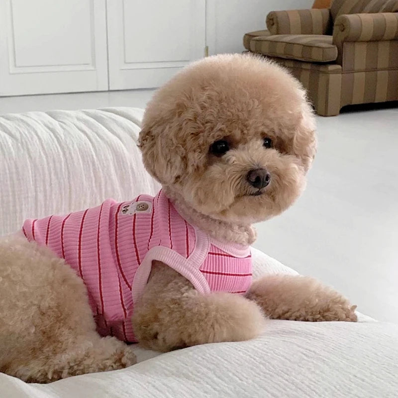 Fashion Dog Vest Summer Pet Dog Clothes for Small Dogs Cute Puppy Thin Shirt Bear Print Cat Vest Pet Clothing Chihuahua Clothes