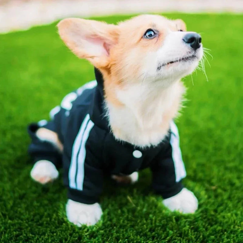 Pet Clothes French Bulldog Puppy Dog Pet Jumpsuit Chihuahua Pug Pets Dogs Clothing for Small Medium Dogs Puppy Outfit  pet coat