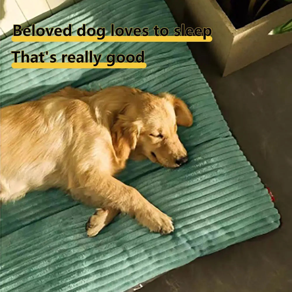 Pet Mat Dog Bed Detachable & Washable PP Cotton Dog Mat soft & Comfortable Dog Sleeper Mat Dog Dormitory Dream Bed For Large Dog
