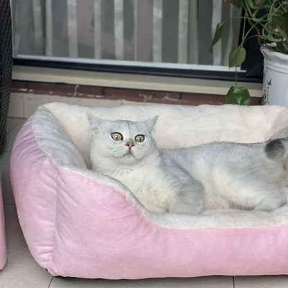 New Bed for Cats Pet Products Cushions Kitten Goods Accessories Dog All Home Supplies Things Accessory Habitats Basket House Bed