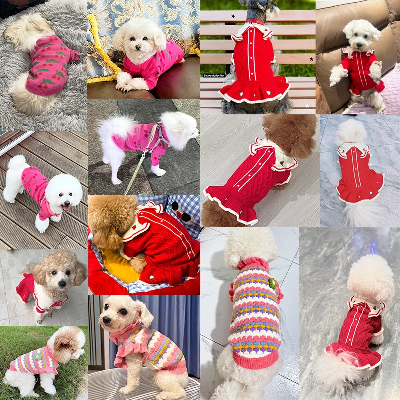 Luxury Dog Clothes for Girl Dog Pullover Knitwear Chihuahua Bichon Sweet Sweater Puppy Outfit Jacket Warm Winter Pet Clothing