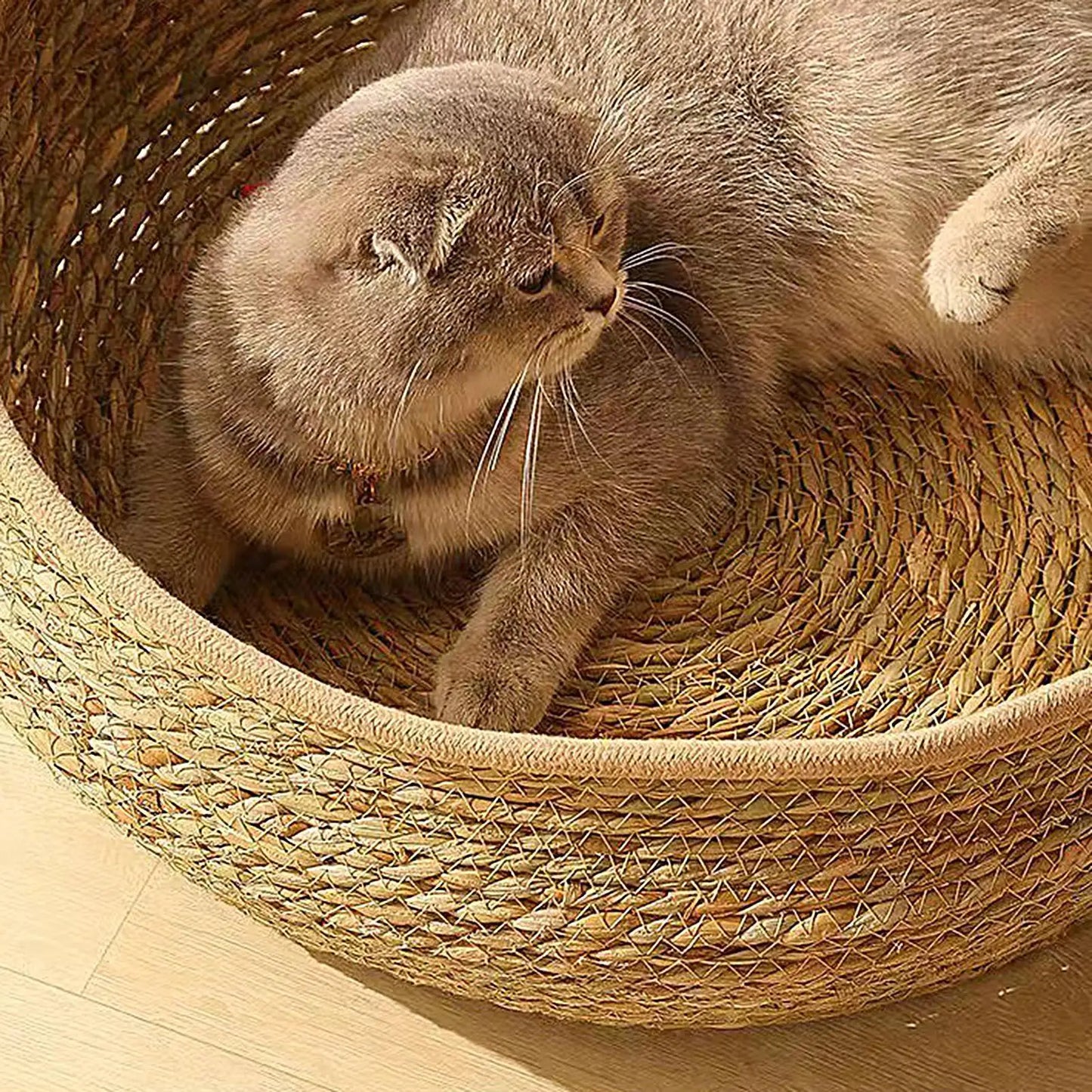 Cat Bed Woven Nest with Soft Cushion Pillow All Season Pet Sleeping Furniture for Cats Kittens Cozy Resting Scratching Lounge