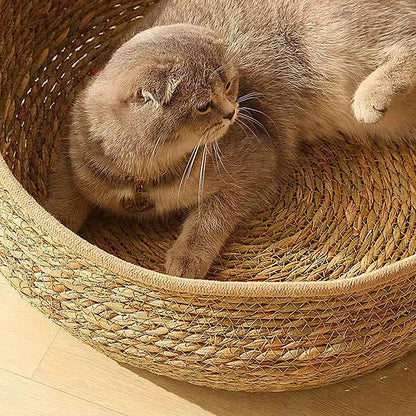 Cat Bed Woven Nest with Soft Cushion Pillow All Season Pet Sleeping Furniture for Cats Kittens Cozy Resting Scratching Lounge