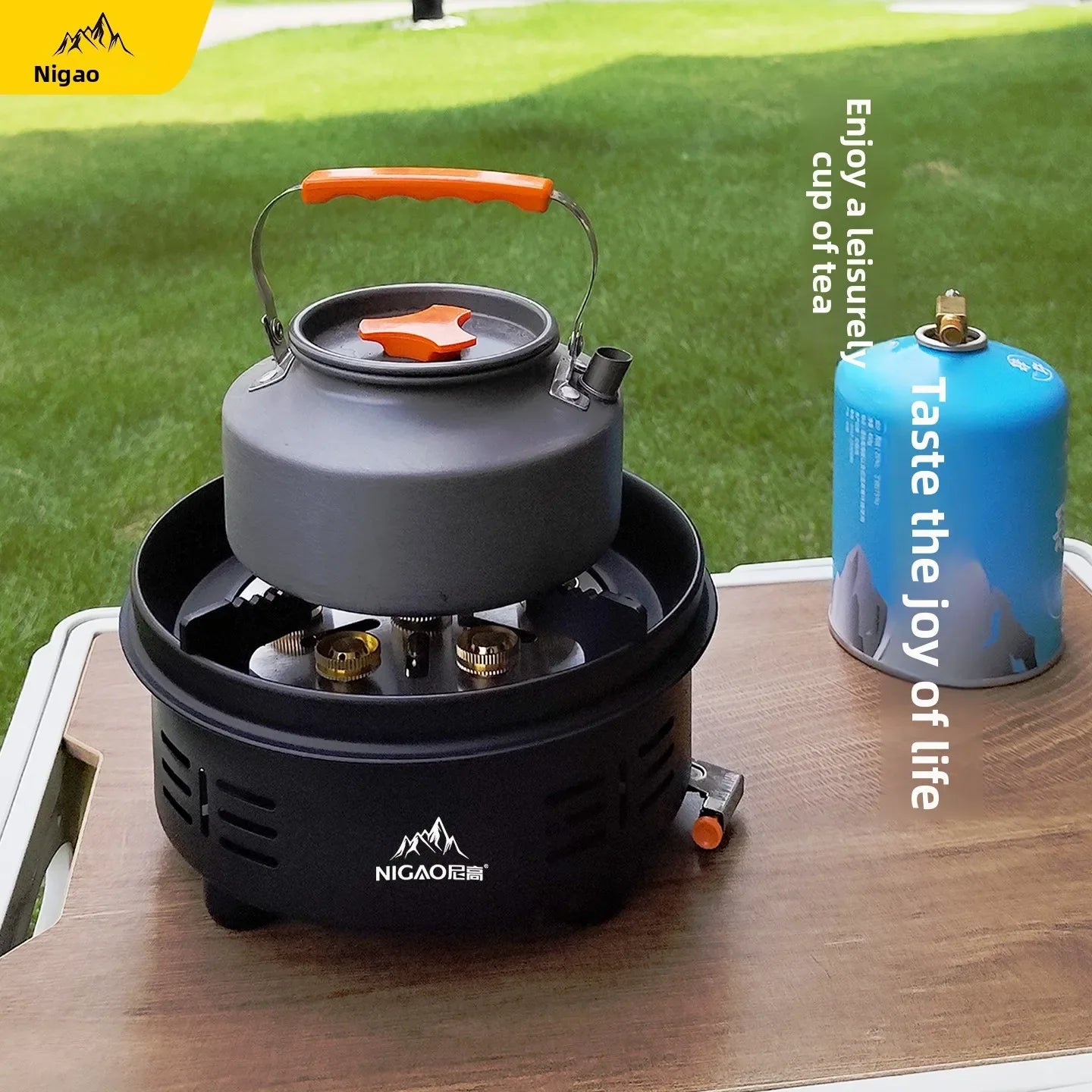 Seven Star Outdoor High Mountain Portable Gas Stove Split Type Camping Cooking Burner QBA