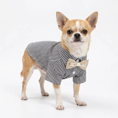 Pet Dog Clothes Bowknot Striped Shirts Thin Summer Blue Fashion Chihuahua Stripe Shirt for Small Dogs Clothing Wholesale