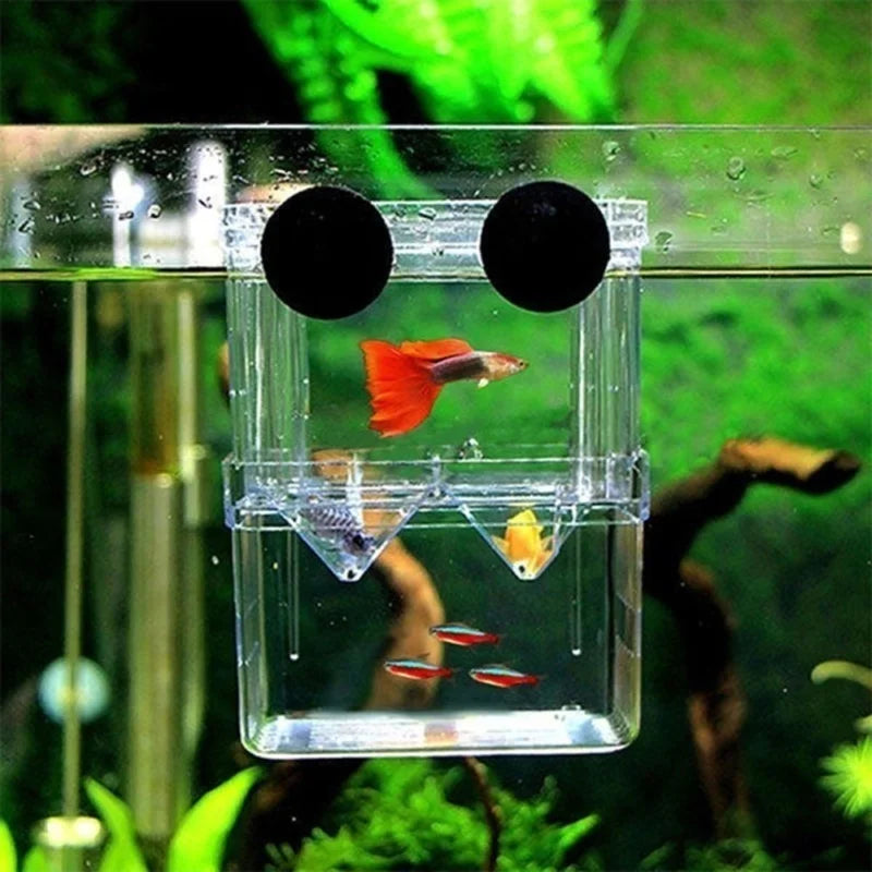Multifu Fish Aquarium High Clear Breeding Isolation Box Pet Supplies Breeder Tank Double Guppies Hatching Incubator Pet Products