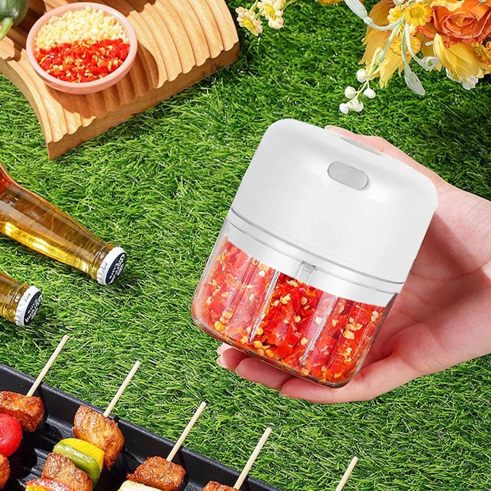 100ML/250ML Electric Garlic Chopper, Portable Food Processor, Rechargeable Vegetable Chopper Blender for Nuts Chili Onion