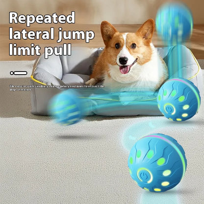 Pet Play Toy Ball, Electric Dog Ball, USB Rechargeable Dog Interactive Toy, Good Companion for Dogs